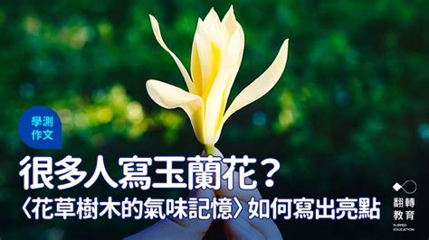 花草樹木的氣味記憶外遇|學測作文玉蘭花全文曝！寫父親外遇被選佳作：句句皆。